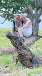 KomodoJhuna Komodo Homestay的两个女人坐在树上,有鳄鱼