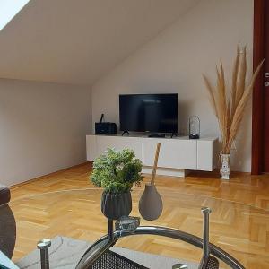 波扎雷瓦茨Apartman Panorama的客厅配有平面电视和植物
