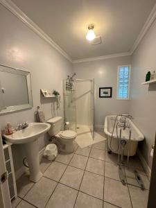 ReidvilleEden Estate B&B的一间带水槽、卫生间和淋浴的浴室