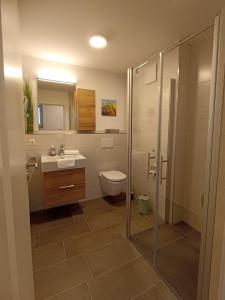 费尔德伯格Haus Wiesenquelle - Fewo 14 "Timeout", Feldberg的浴室配有卫生间、盥洗盆和淋浴。