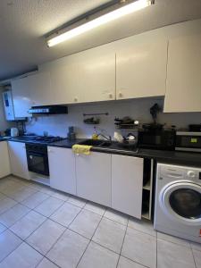 伦敦BUCKINGHAM的厨房配有水槽和洗衣机