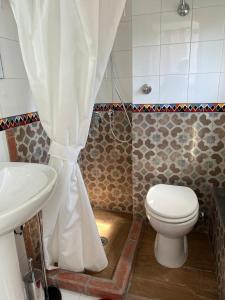 泰卡斯Villa Venturini的一间带卫生间和淋浴帘的浴室