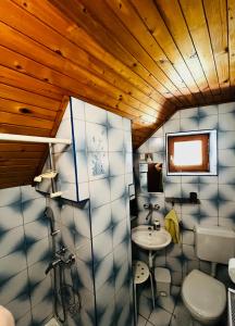 拉特西Apartma Lip的一间带水槽和卫生间的浴室
