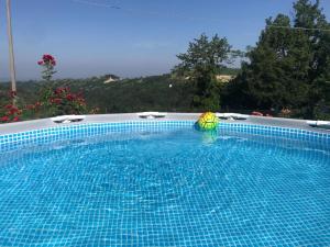BossolascoCascina Curairone的游泳池内有球和遮阳伞