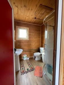 佩尔梅特Origjina Farm的一间带卫生间和水槽的小浴室