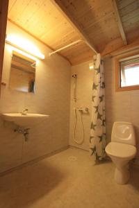 盖郎厄尔峡湾文杰露营地的浴室配有卫生间、盥洗盆和淋浴。