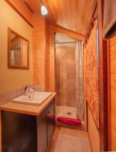 班夫山坡简易别墅的一间带水槽和淋浴的浴室