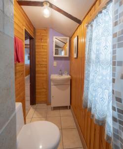 班夫山坡简易别墅的一间带卫生间和水槽的浴室