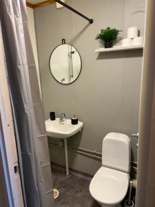 LierSpørkel Landbruk的一间带卫生间、水槽和镜子的浴室