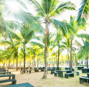 马里韦莱斯Casa Amores: Camaya Coast的海滩上一排棕榈树下的野餐桌