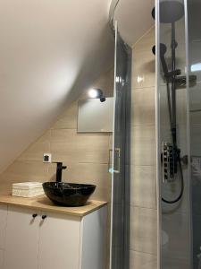 比利但耶克Apartament 4 os u Króla的一间带水槽和淋浴的浴室