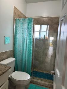 大特克岛The Sunflower Villa的一间带绿色淋浴帘和卫生间的浴室