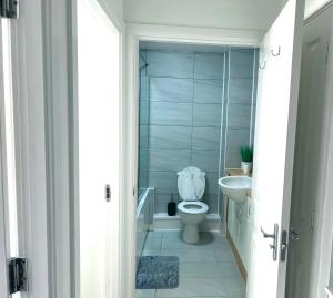 Ocker HillShazeal Apartment Tipton的一间带卫生间和水槽的浴室
