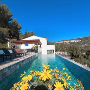艾日A Eze , Bas de villa piscine près de Monaco的一座鲜花盛开的游泳池