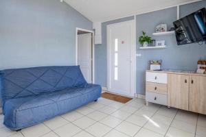 拉弗雷切Maison au bord du Loir的客厅配有蓝色的沙发和电视