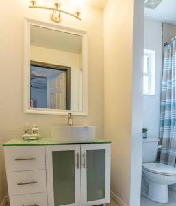 坦帕Upscale Ybor House with Outdoor Living Space的一间带水槽、卫生间和镜子的浴室