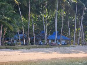 爱妮岛DK2 Resort - Hidden Natural Beach Spot - Direct Tours & Fast Internet的棕榈树海滩上一座蓝色屋顶的房子