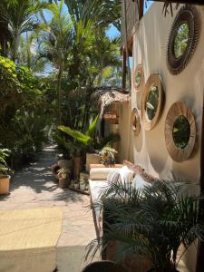 曼克拉Los Corales的庭院里种满了植物和镜子