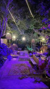 巴利亚多利德Casa Sílice的花园在晚上点亮紫色的灯光