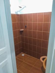 新艾朗Hotel Primu's的带淋浴和卫生间的浴室