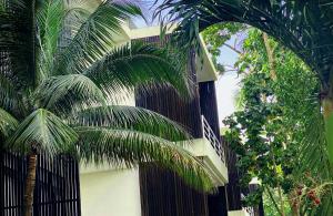 安东尼奥港吉加姆酒店的一座建筑前有棕榈树的黑色围栏