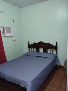 帕林廷斯Casa em Parintins的一间卧室配有一张带蓝色棉被的床