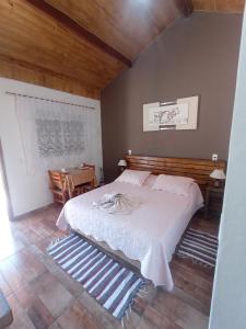 蒙特韦尔迪Recanto lavinia的一间卧室配有一张大床和一张桌子
