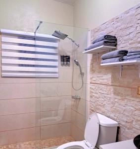 Crocus HillTropix Getaway - rental car available的带淋浴和卫生间的浴室
