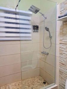 Crocus HillTropix Getaway - rental car available的浴室里设有玻璃门淋浴
