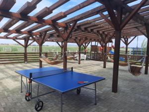 穆里吉奥尔Gulliver Delta Resort的亭子里的乒乓球桌和吊床