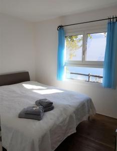 隆科索普拉阿斯科纳Casa "Pipistrello"的一间卧室配有床和蓝色窗帘的窗户