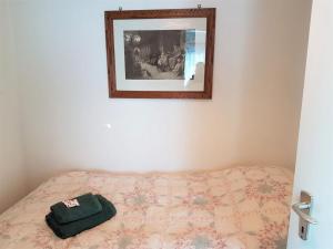 隆科索普拉阿斯科纳Casa "Pipistrello"的一张睡床,上面有一个绿袋