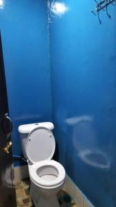 热浪岛Marina's Redang Boat的蓝色的浴室设有卫生间和蓝色的墙壁