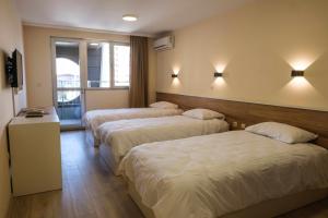 普罗夫迪夫HOTEL BAYKO的酒店客房设有三张床和窗户。