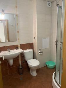 潘波洛沃斯特林度假酒店的浴室配有卫生间、盥洗盆和淋浴。