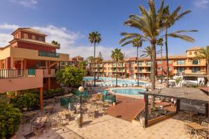 科拉雷侯O7 Aloe Corralejo的一座带游泳池和棕榈树的度假村的形象