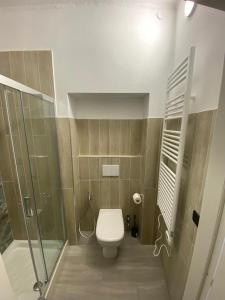 卡塞勒托瑞尼斯DOMUS Hotel的一间带卫生间和淋浴的小浴室