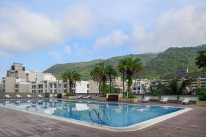 礁溪长荣凤凰酒店（礁溪）的一座棕榈树和建筑游泳池