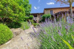 马焦内里泰拉迪萨酒店的一座花园,在一座建筑前种有紫色花卉