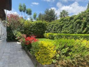 3 Bedroom Villa with Garden in Addis Ababa Bole外面的花园
