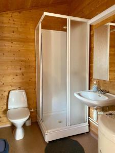 翁达尔斯内斯Trollstigen Camping and Gjestegård的带淋浴、卫生间和盥洗盆的浴室