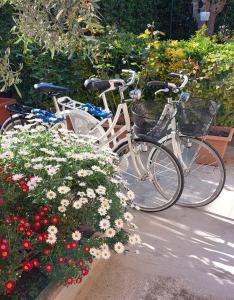 马里纳·迪·比萨Casa del Sole - Sunshine Home的两辆自行车停在一些花边