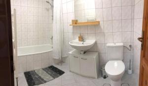 米库洛夫Nicolsburg的白色的浴室设有卫生间和水槽。