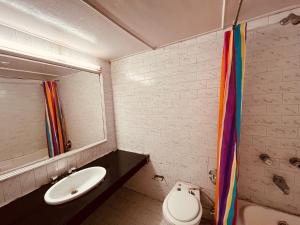 安君纳Sandhu Farm的一间带水槽、卫生间和镜子的浴室