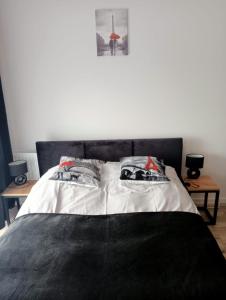尼萨Apartament Diament 1 - Jezioro Nyskie的卧室内的一张带两个枕头的床