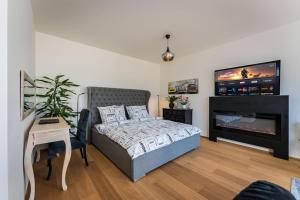 布拉格Romantic wellness apartment的一间卧室配有一张床和一台平面电视
