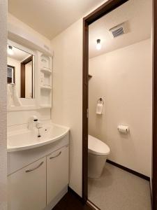 广岛bHOTEL Nagomi - Luxe Apt for 3Ppl City Center的一间带水槽、卫生间和镜子的浴室