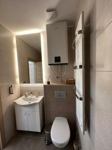 兹拉蒂博尔Zlatiborske terase Spa&Wellness的一间带卫生间和水槽的小浴室