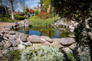 蒂米什瓦拉森纳特酒店的花园中种有岩石和植物的池塘