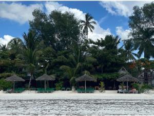 吉汶瓦Santa Rita lodge的海滩上设有椅子和遮阳伞,棕榈树